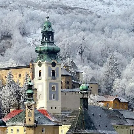 Apartment Stiavnica *